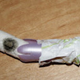 Illustration for article titled Horrifying Moldy Tampon Story Will Haunt Your Nightmares